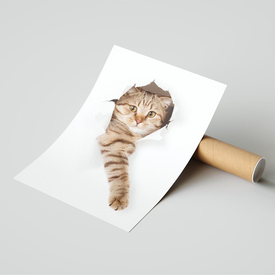 Plakat bez ramy 21x30 - Kot w Dziurze - kot, dziura