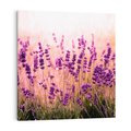 Obraz na płótnie 30x30 - Lawenda: Pachnące pole kwiatów - kwiaty, lawenda