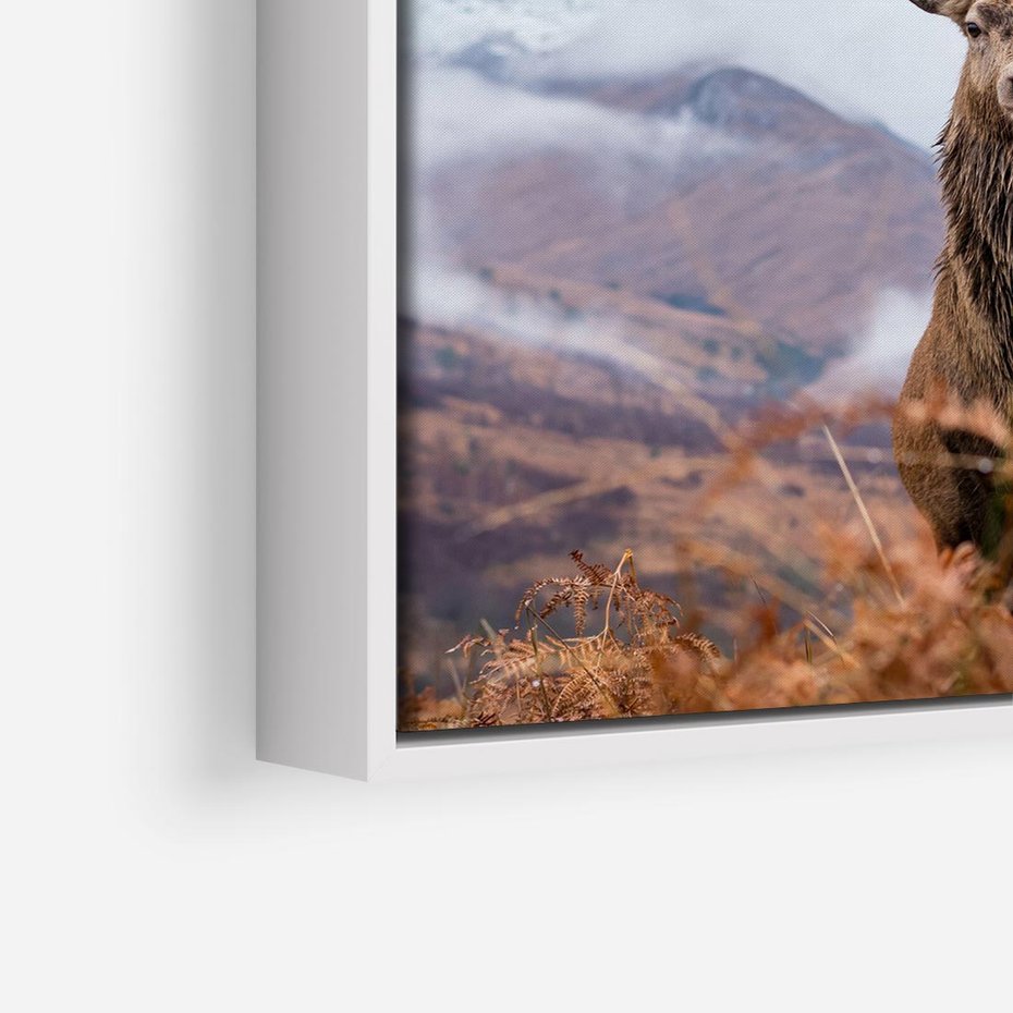 Obraz w ramie 50x50 - Jeleń w Uśpionym Krajobrazie - jeleń na tle gór, ośnieżone góry - rama biała