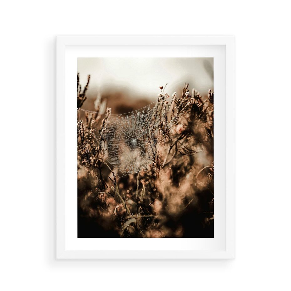 Plakat w ramie 40x50 - Jesienny Mikrokosmos - suchetrawy, jesienny klimat - rama biała