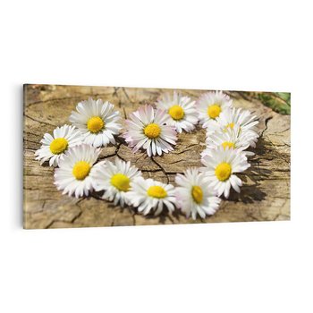 Obraz na płótnie 120x60 - Stokrotki w naturalnym otoczeniu - stokrotki, natura