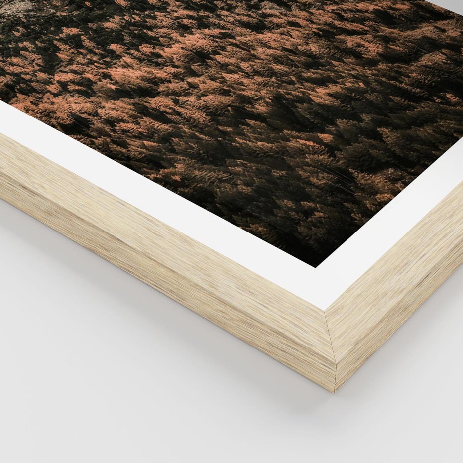 Plakat w ramie 50x70 - Jesienna Godzina w Górach - góry, las w górach - rama drewno