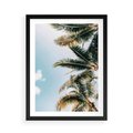 Plakat w ramie 50x70 - Pod Błękitnym Niebem - palmy, ujęcie z dołu - rama czarna