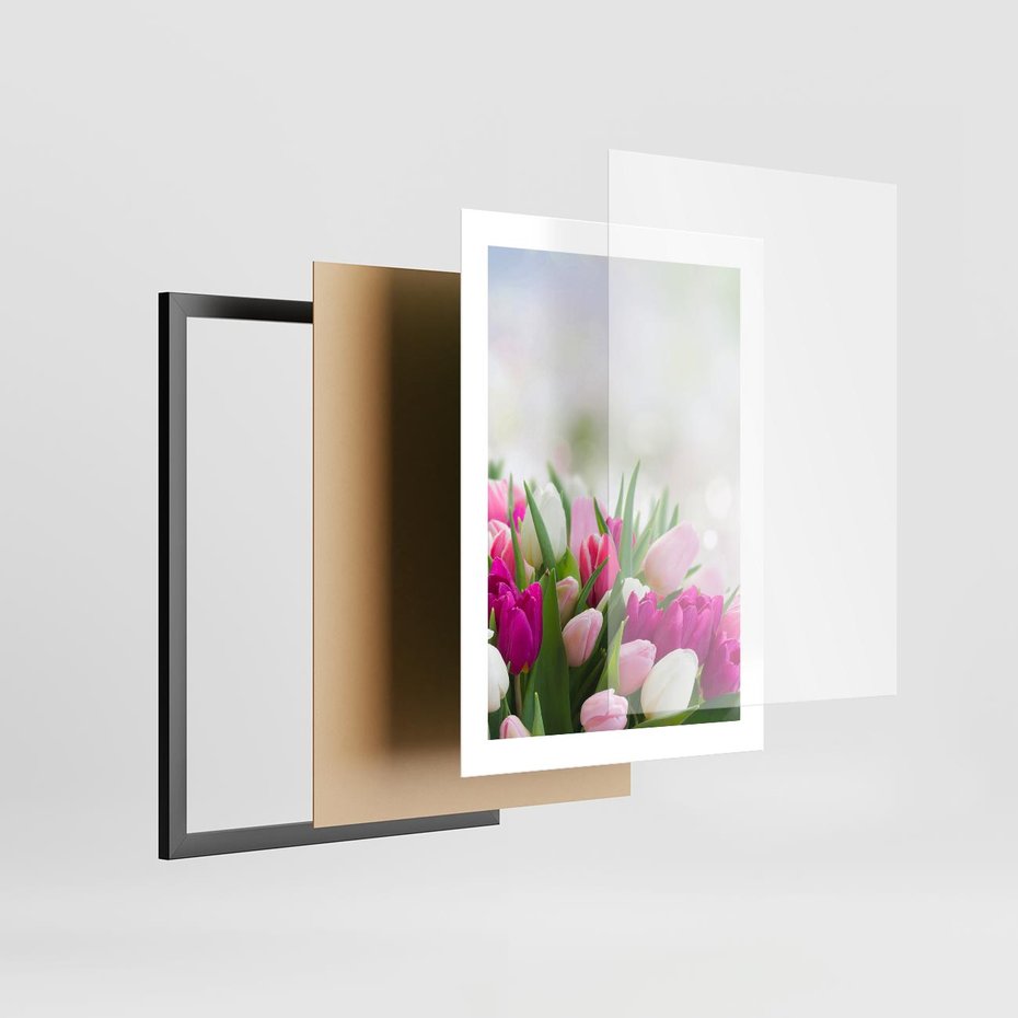 Plakat w ramie 30x40 - Tulipany w pełnym rozkwicie - tulipany, kwiaty - rama czarna