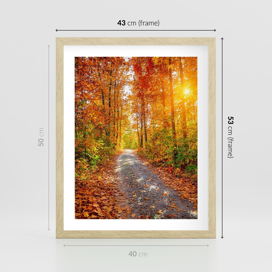 Plakat w ramie 40x50 - Kolorowe drzewa na ścieżce jesieni - las, jesień - rama drewno