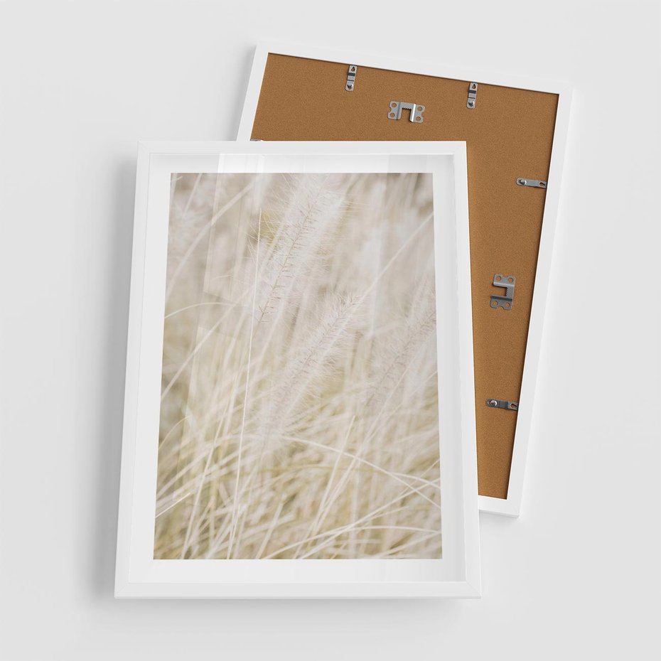 Plakat w ramie 50x70 - Białe Trawy Pampas - suche trawy, białe trawy - rama biała