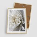 Plakat w ramie 50x70 - Białe Kwiaty Delikatności - białe, kwiaty - rama drewno