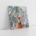 Obraz na płótnie 30x30 - Monarcha Zimowej Dziczy - jeleń, zima