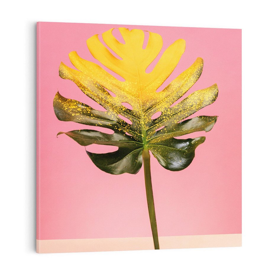 Obraz na płótnie 40x40 - Majestatyczna monstera - monstera, liść
