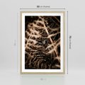 Plakat w ramie 50x70 - Liście i Paprocie - suche liście, paprocie - rama drewno