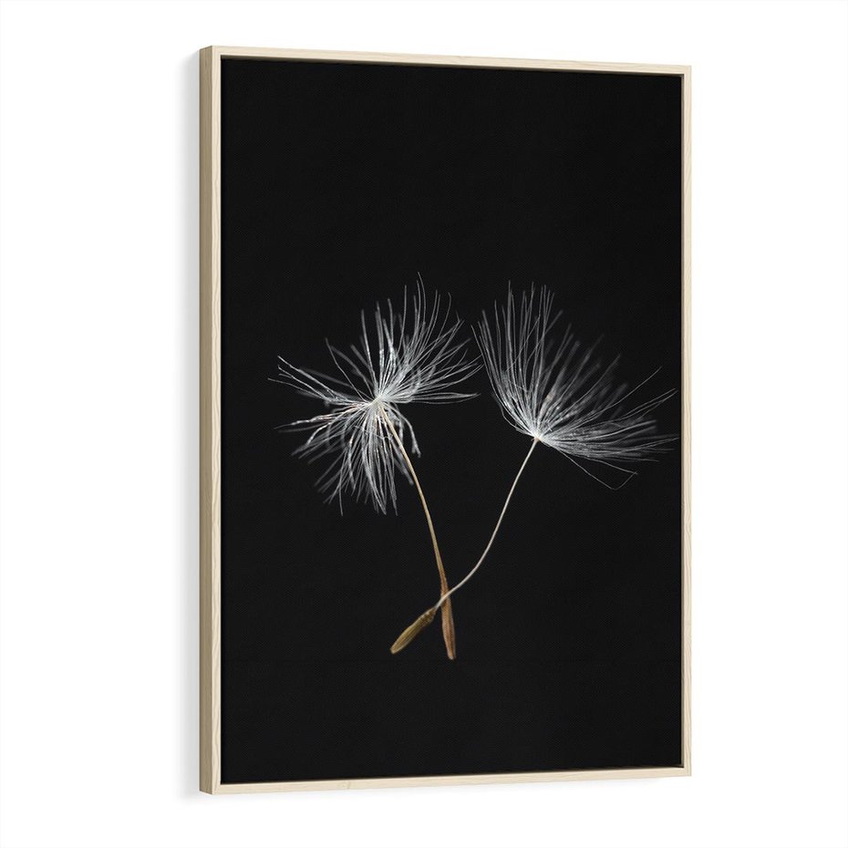 Obraz w ramie 80x120 - Delikatność Wiatru - dmuchawce, makro - rama drewno