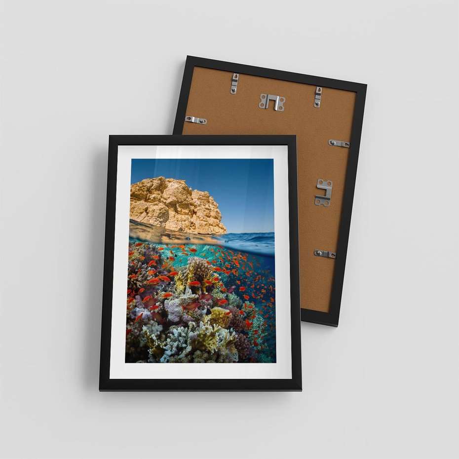 Plakat w ramie 30x40 - Rafa koralowa w oceanie - rafa, koralowa - rama czarna