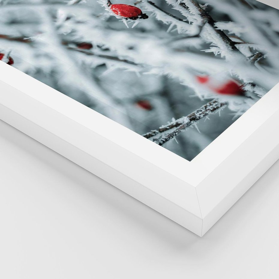 Plakat w ramie 30x40 - Zima na Gałęziach - zima, oszronione gałęzie - rama biała