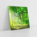 Obraz na płótnie 30x30 - Urok lasu na drodze - las, drzewa