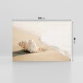 Obraz na płótnie 120x80 - Urok plażowej muszelki - fotografia, muszla na plaży