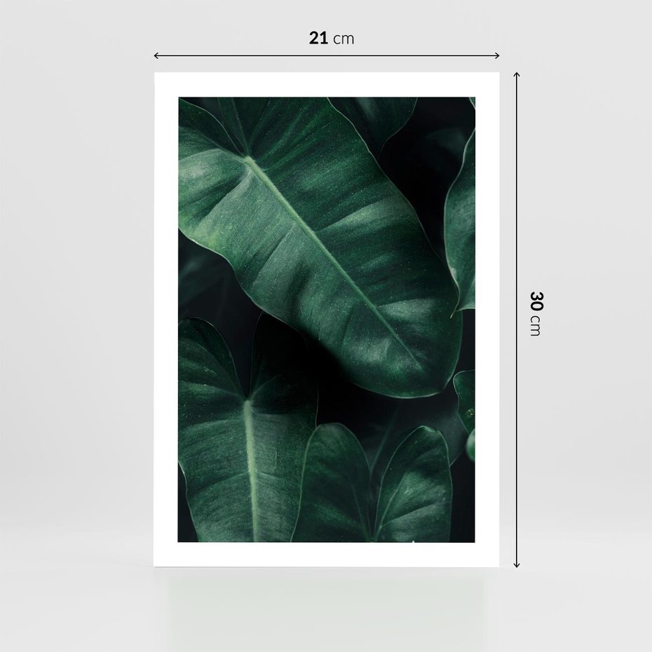 Plakat bez ramy 21x30 - Liście Bananowca - minimalizm, zielone liście bananowca