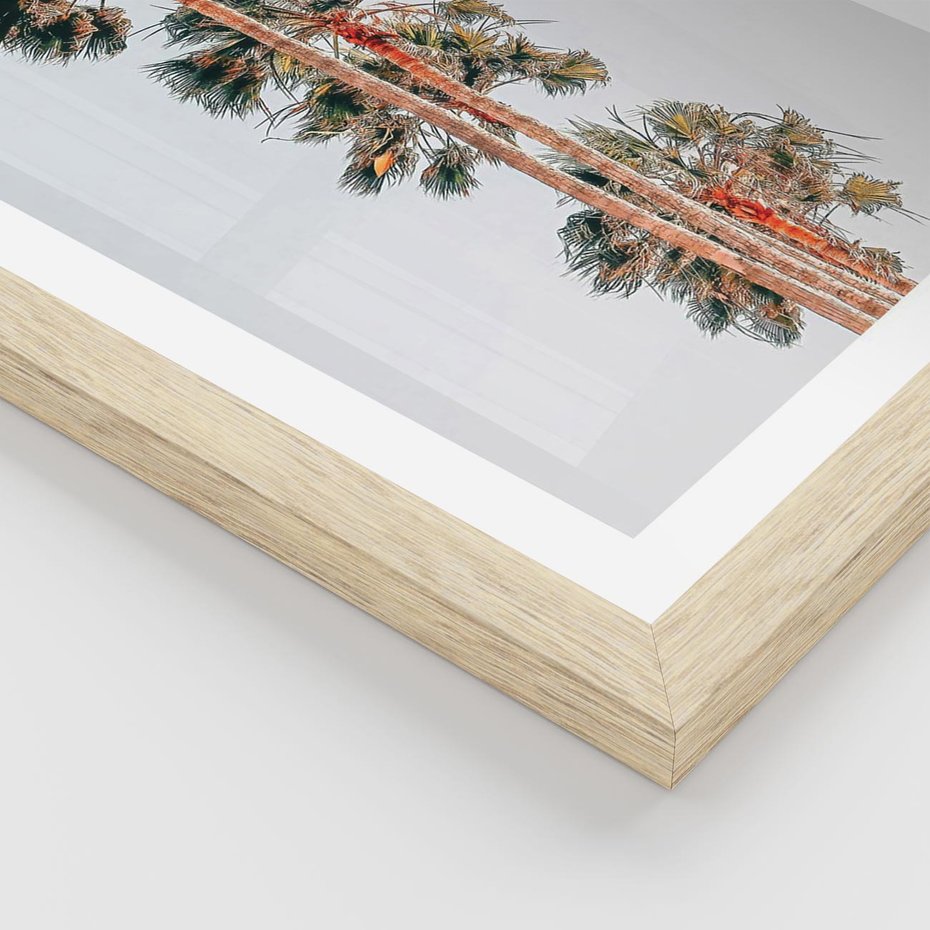 Plakat w ramie 50x70 - Kształty Palm - palmy, zdjęcie - rama drewno