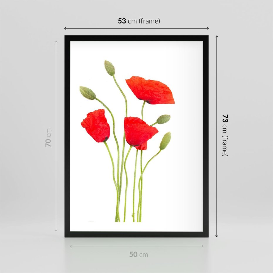 Plakat w ramie 50x70 - Pola maków w pełnym kolorze - maki, kwiaty - rama czarna
