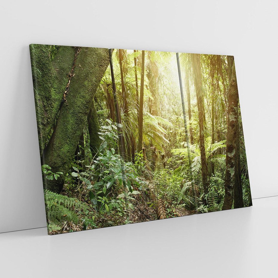 Obraz na płótnie 120x80 - Uroczysty Las Drzew - las, drzewa