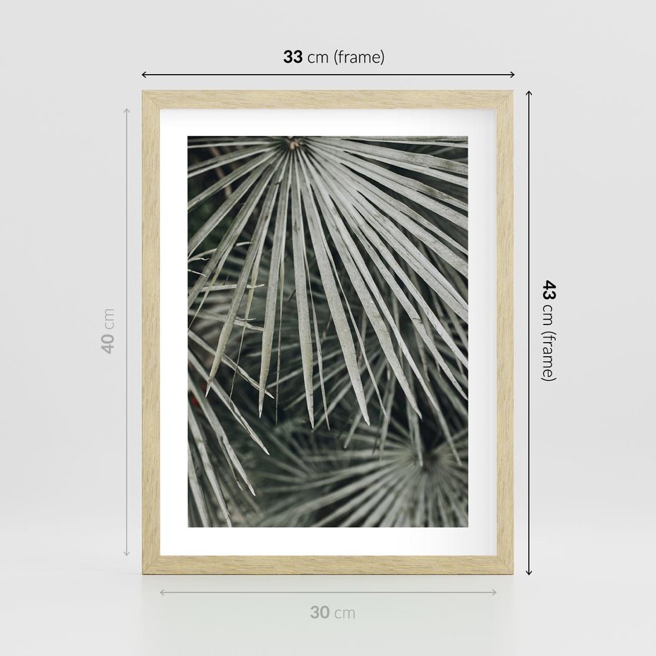 Plakat w ramie 30x40 - Ujęcie Tropikalnej Natury - palmy, liście palmy - rama drewno
