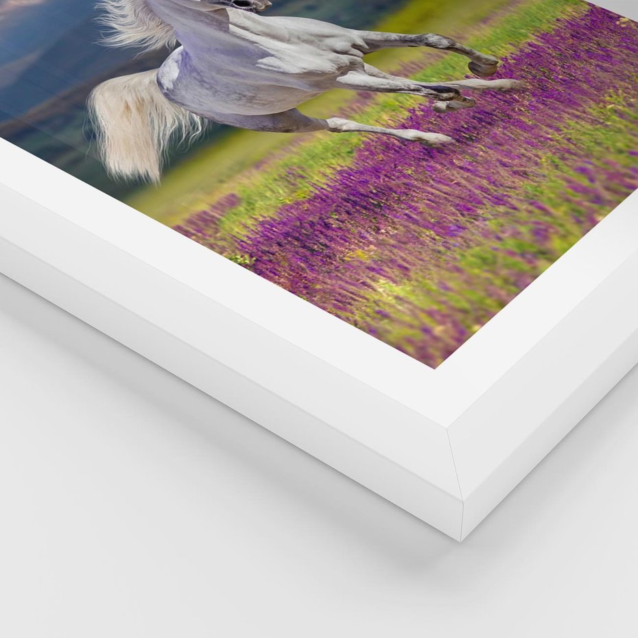 Plakat w ramie 50x70 - Koń Góry: Spotkanie z Wielką Przyrodą - koń, góry - rama biała