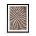 Plakat w ramie 50x70 - Liść Palmy w Wyjątkowej Kompozycji - suchy liść palmy, boho styl - rama czarna