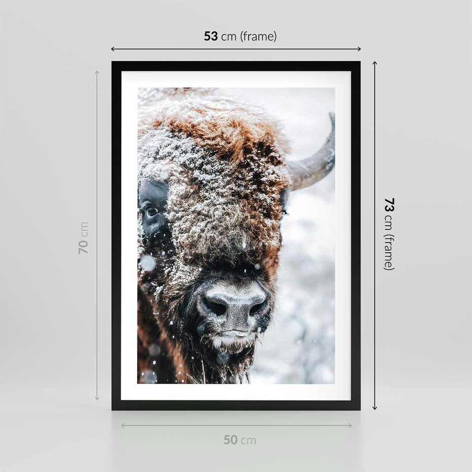 Plakat w ramie 50x70 - Żubr w Krainie Śniegu - żubr, zima - rama czarna