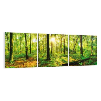 Obraz na płótnie 120x40 - Mistyfikujący las - las, drzewa