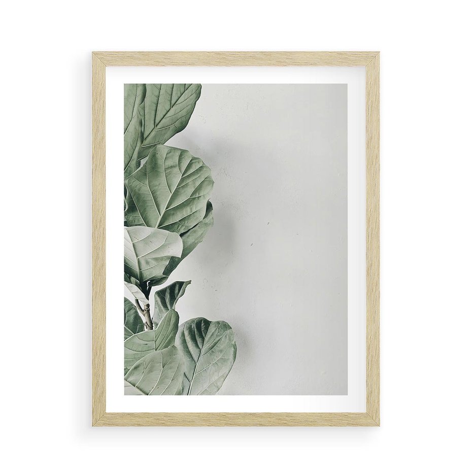 Plakat w ramie 50x70 - Minimalistyczna Harmonia: Zieleń Liści - zieone liście, kompozycja - rama drewno