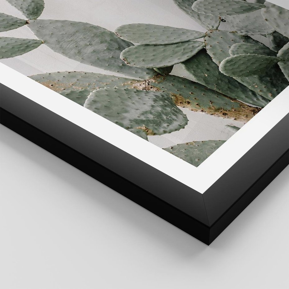 Plakat w ramie 40x50 - Imponujący Kaktus - duży kaktus, opuncja - rama czarna