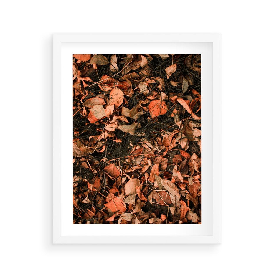 Plakat w ramie 40x50 - Jesienny Splot: Pomarańczowe Liście - liście, pomarańczowe suche liście - rama biała