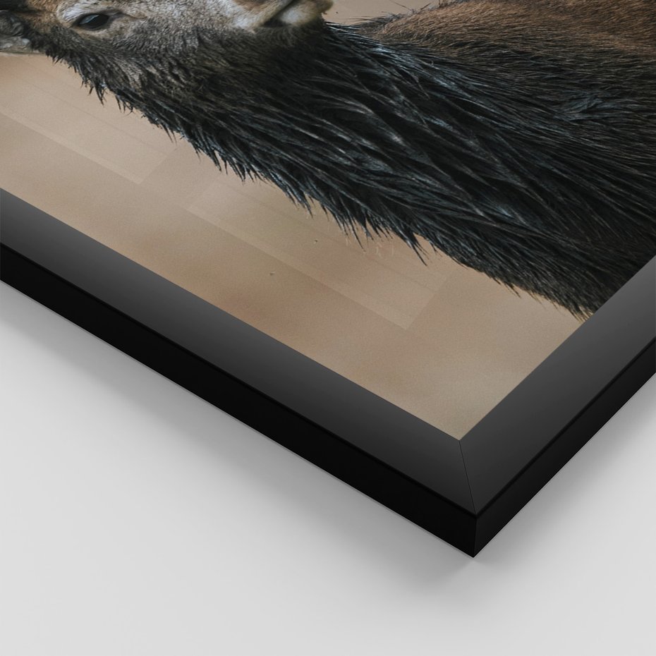 Zestaw obrazy w ramie 30x40 galeria - Jeleń, las, drzewa, boho, skandynawski - rama czarna