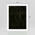 Plakat bez ramy 40x50 - Ciemny las iglasty - las, iglasty