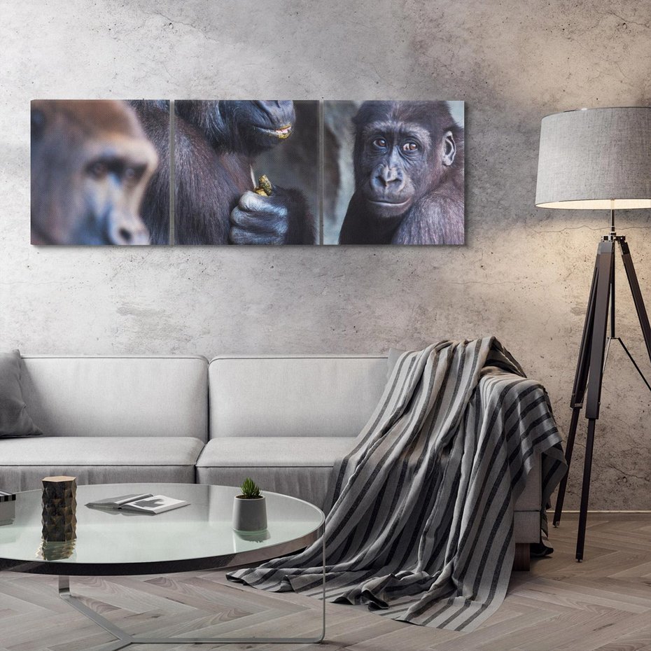Obraz na płótnie 120x40 - Małpy w ich naturalnym środowisku - małpy, szympansy