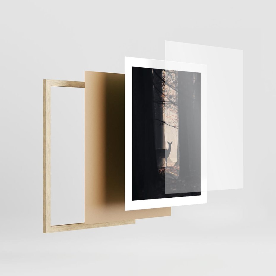 Plakat w ramie 30x40 - Sarnie Skoki - zdjęcie, klimatyczny las - rama drewno