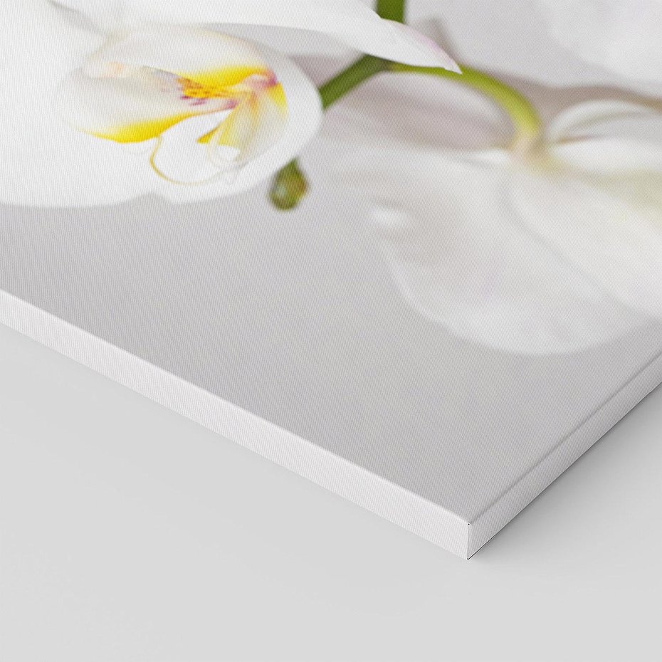 Obraz na płótnie 120x60 - kwiatowy urok - orchidea, kwiat