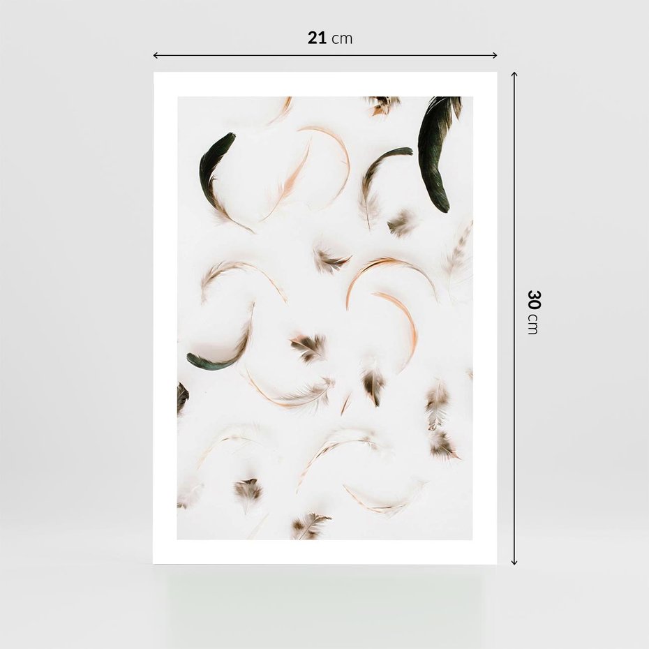 Plakat bez ramy 21x30 - Kompozycja z Piór - pióra, kompozycja
