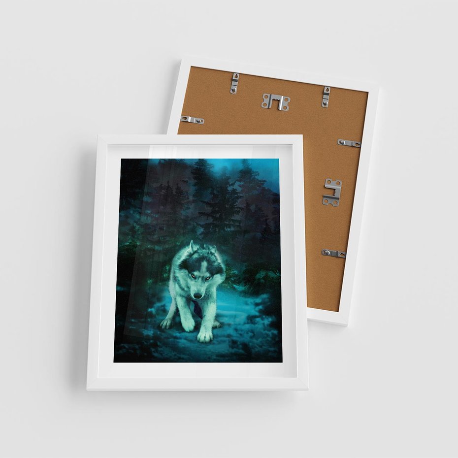 Plakat w ramie 40x50 - Siła i wdzięk natury - wilk, husky - rama biała