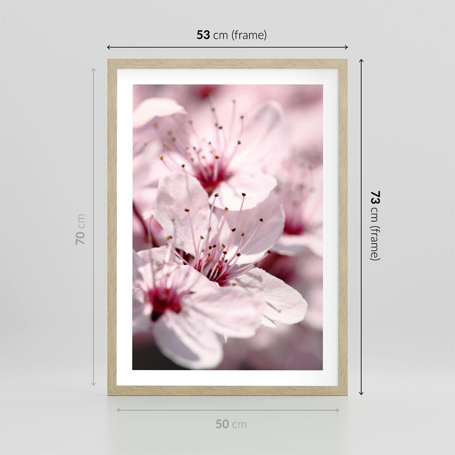 Plakat w ramie 50x70 - Kwitnąca Wiśnia - kwiaty, kwitnąca - rama drewno