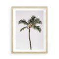 Plakat w ramie 50x70 - Wakacyjne Marzenia - palma na tle nieba - rama drewno