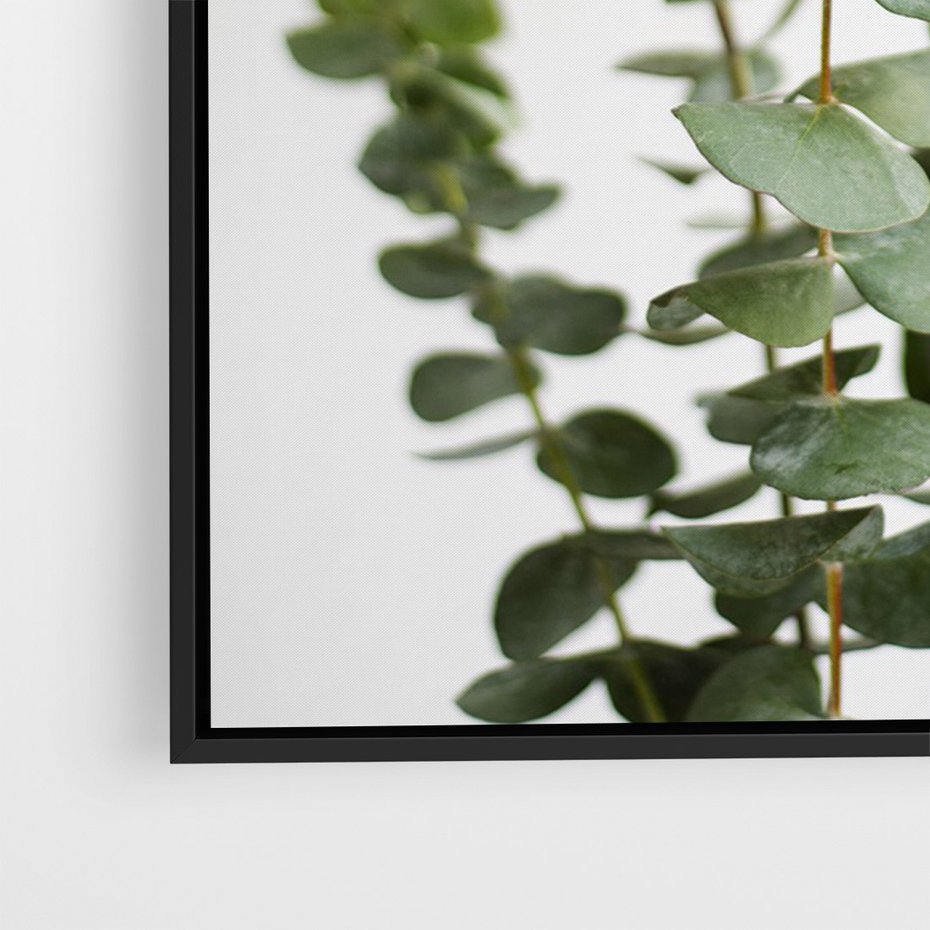 Obraz w ramie 70x100 - Żywa eukaliptusowa zieleń - eukaliptus, zielone - rama czarna