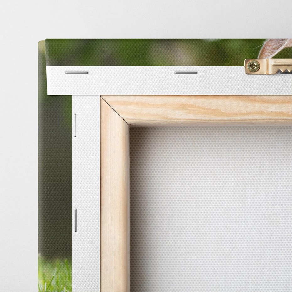 Obraz na płótnie 80x80 - Kocie polowanie w ogrodzie - kot, polowanie