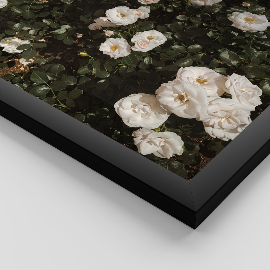 Zestaw obrazy w ramie 50x70 galeria - Boho, kwiaty, suche, trawy - rama czarna