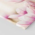 Obraz na płótnie 40x40 - Urok Magnolii - magnolie, kwiaty