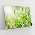 Obraz na płótnie 120x80 - Delikatna trawa pokryta rosą - trawa, rosa