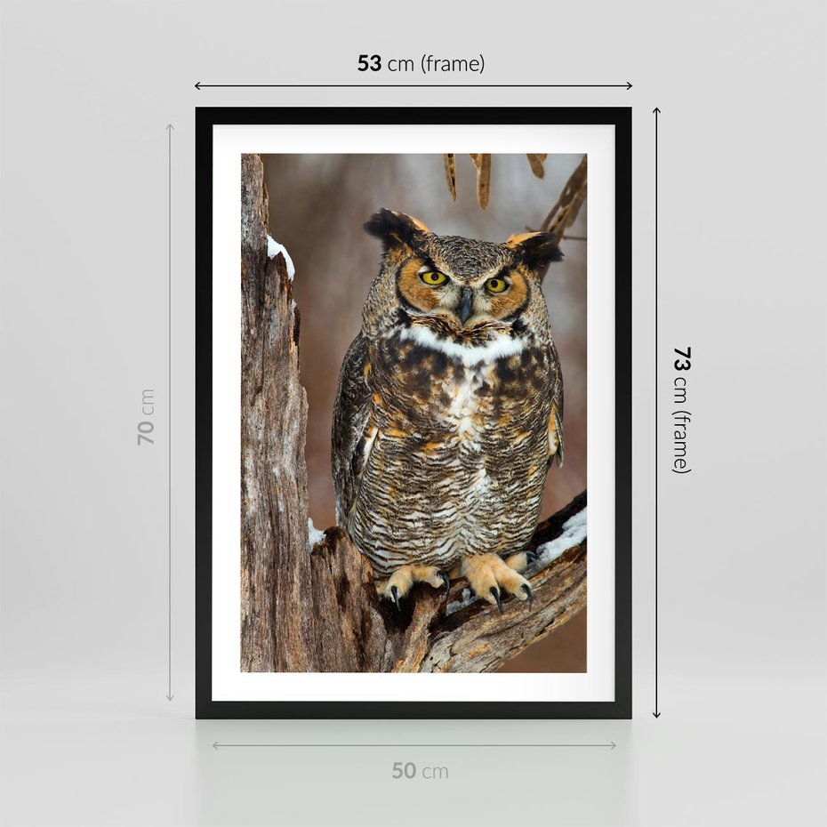 Plakat w ramie 50x70 - Tajemniczy Stróż - sowa, las - rama czarna