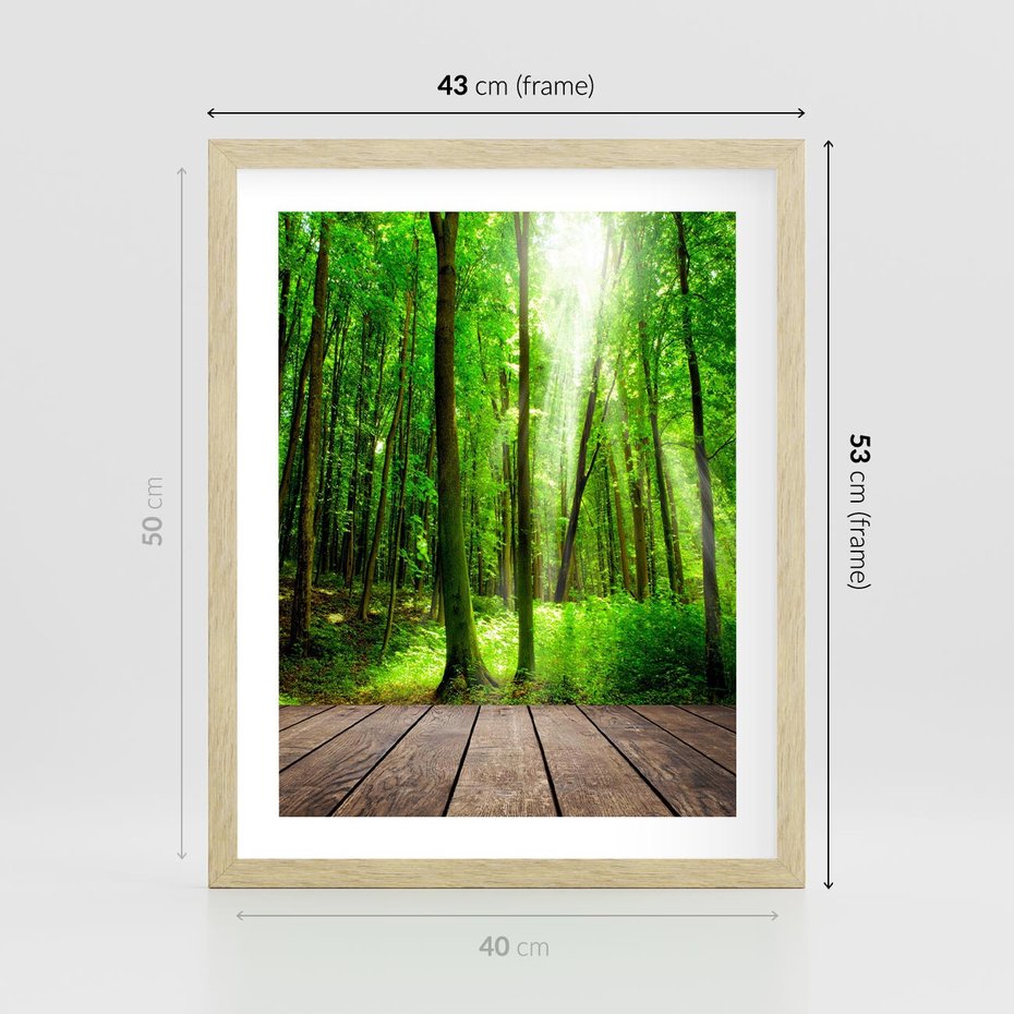 Plakat w ramie 40x50 - Spacer po urokliwej dróżce w lesie - las, dróżka - rama drewno