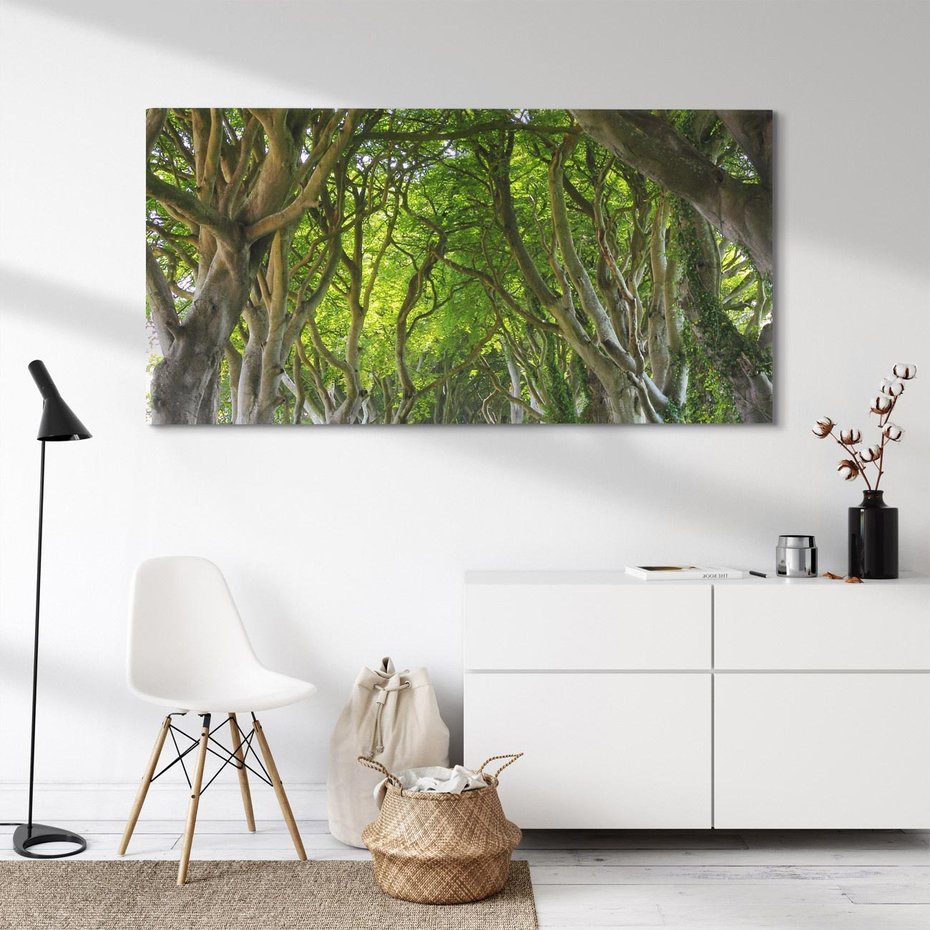 Obraz na płótnie 120x60 - Magiczny Las - drzewa, las