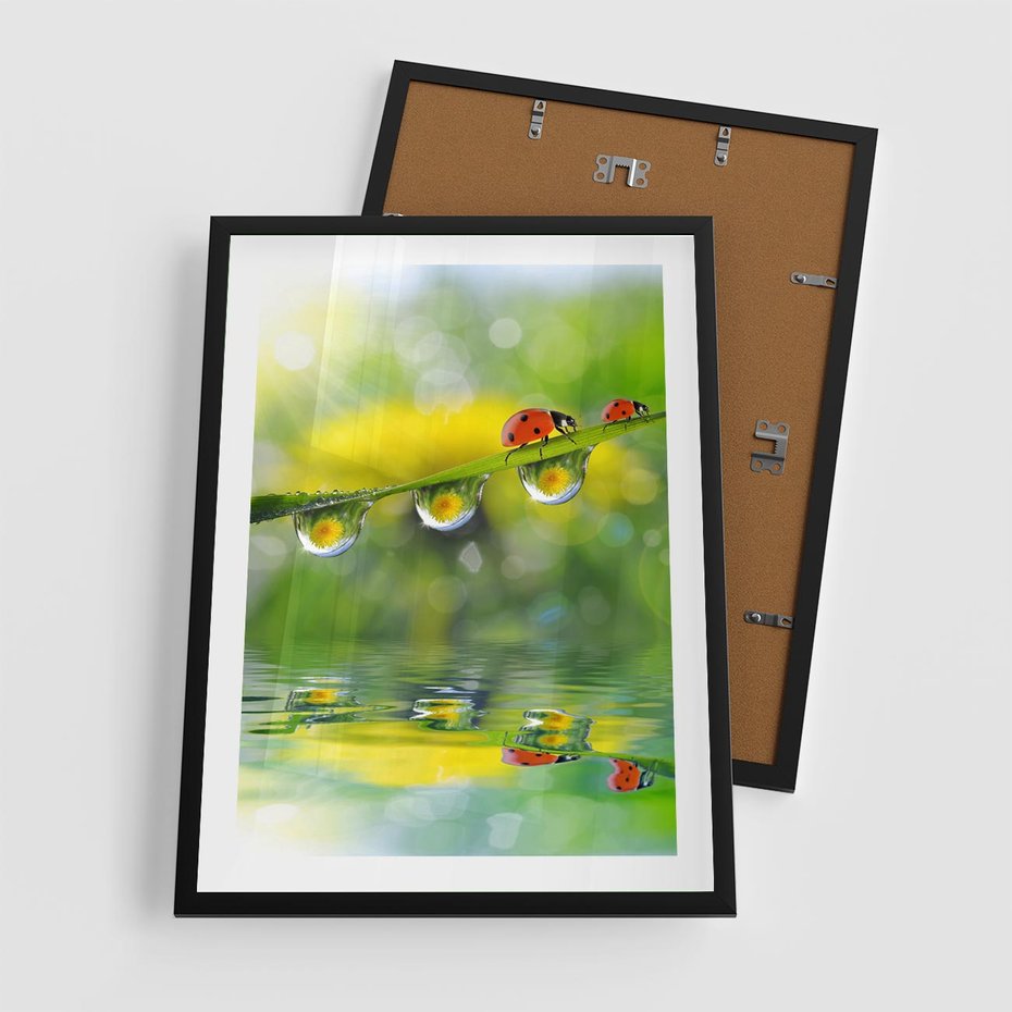 Plakat w ramie 50x70 - Deszczowa Biedronka - biedronka, deszcz - rama czarna