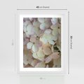 Plakat w ramie 40x50 - Kwiatowy taniec - kwiaty, hortensje - rama biała